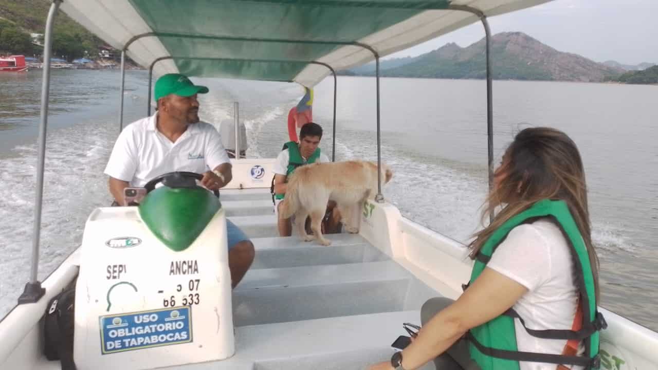 Experiencia de Luisa Hernández